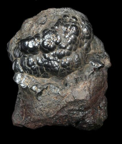 Kidney Ore (Botryoidal Hematite) - Morocco #42083